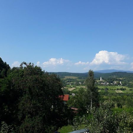 Котедж "Лісовий Затишок" Glubokoye Exterior foto