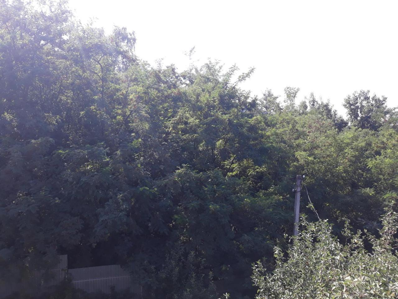 Котедж "Лісовий Затишок" Glubokoye Exterior foto
