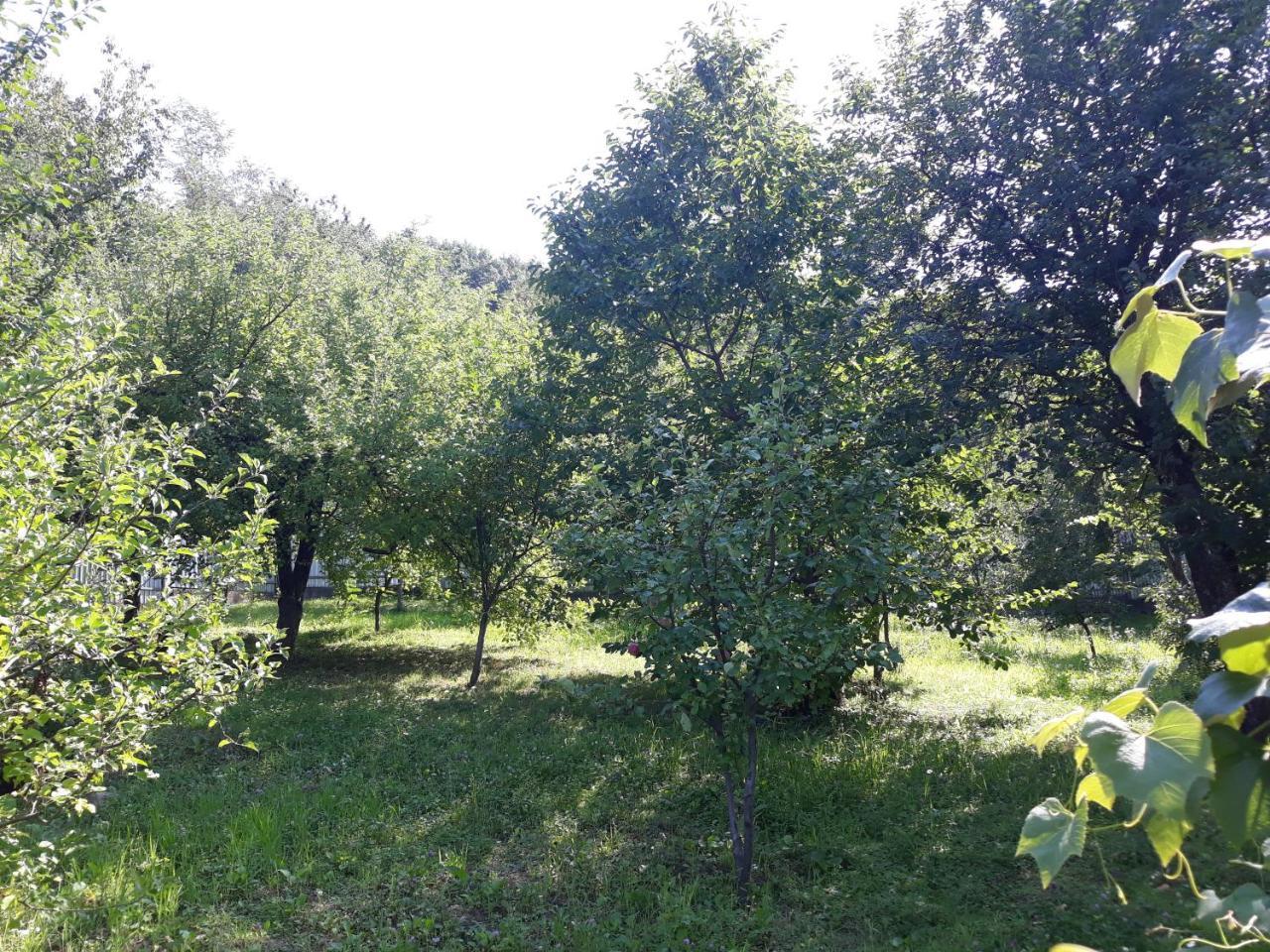 Котедж "Лісовий Затишок" Glubokoye Exterior foto