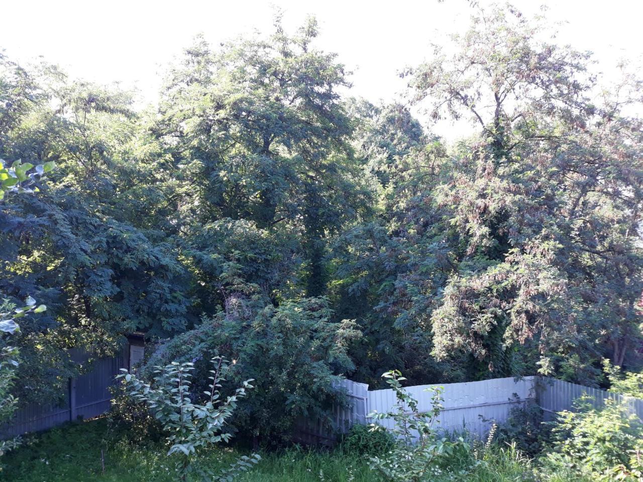 Котедж "Лісовий Затишок" Glubokoye Exterior foto