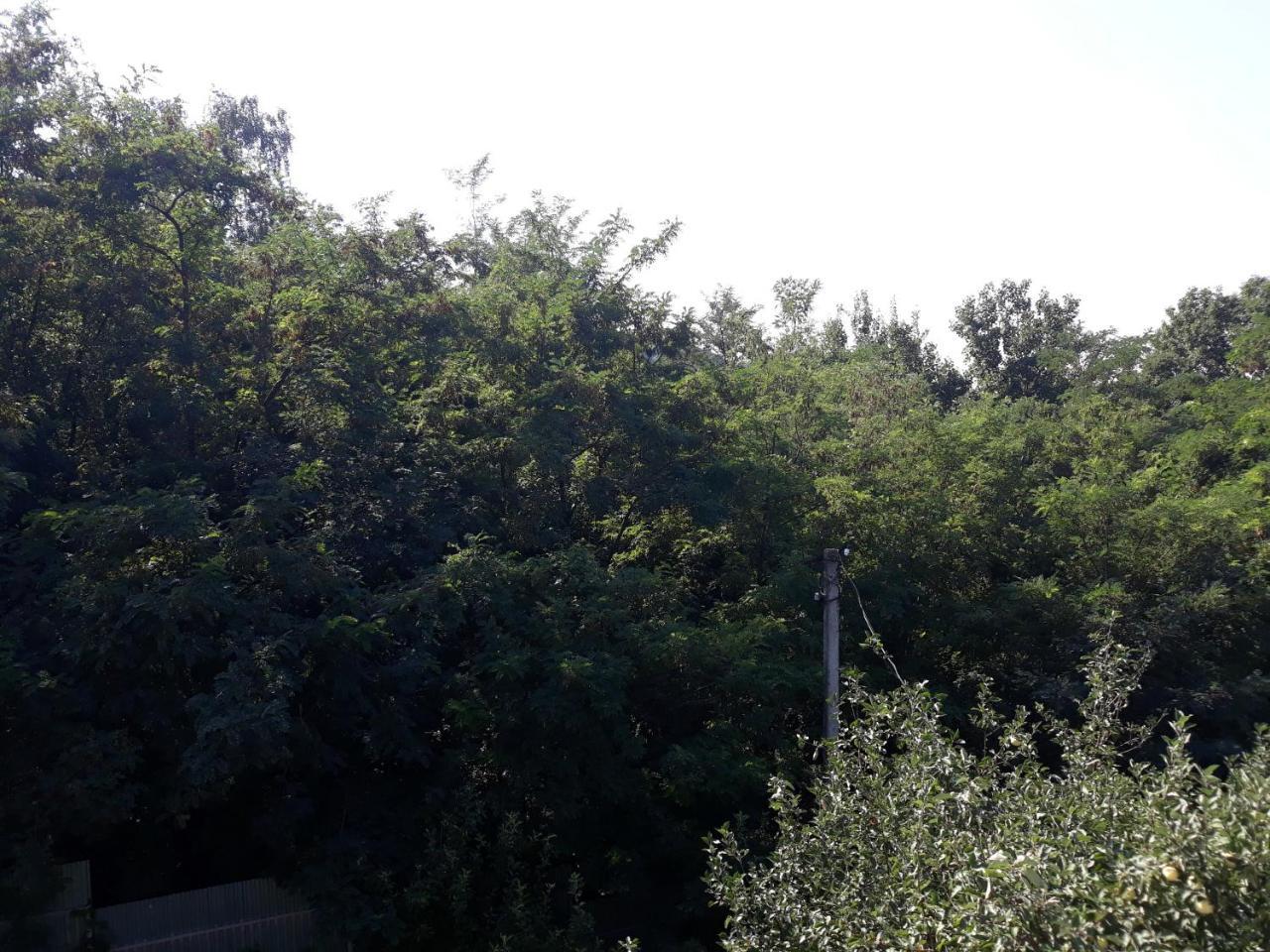 Котедж "Лісовий Затишок" Glubokoye Exterior foto