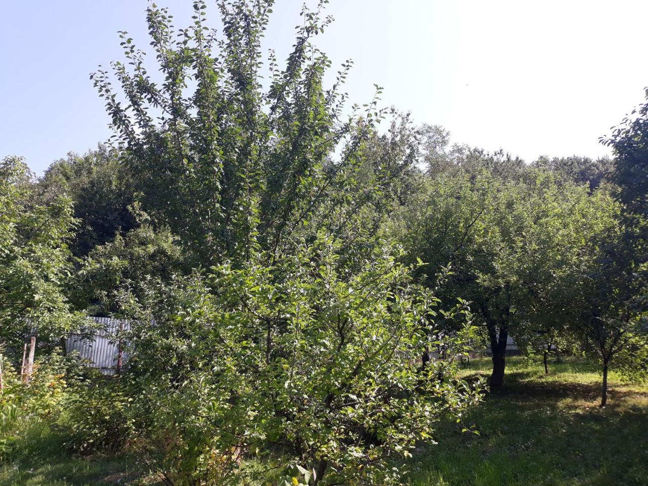 Котедж "Лісовий Затишок" Glubokoye Exterior foto