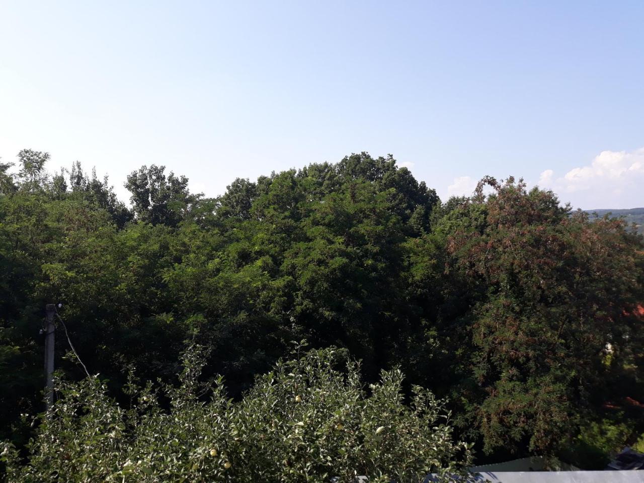 Котедж "Лісовий Затишок" Glubokoye Exterior foto